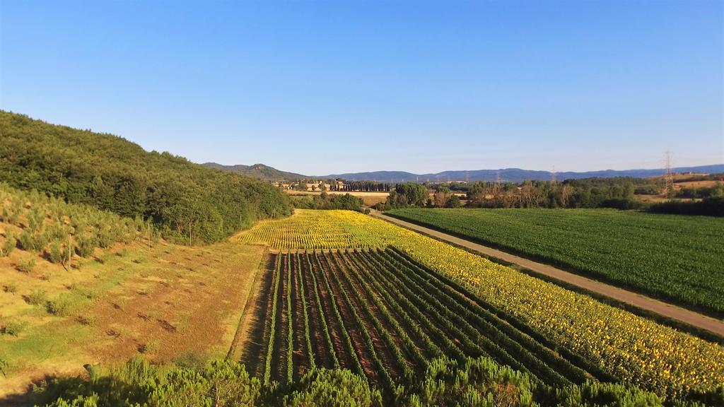 Agriturismo Podere Mulinaccio Ribolla Bagian luar foto