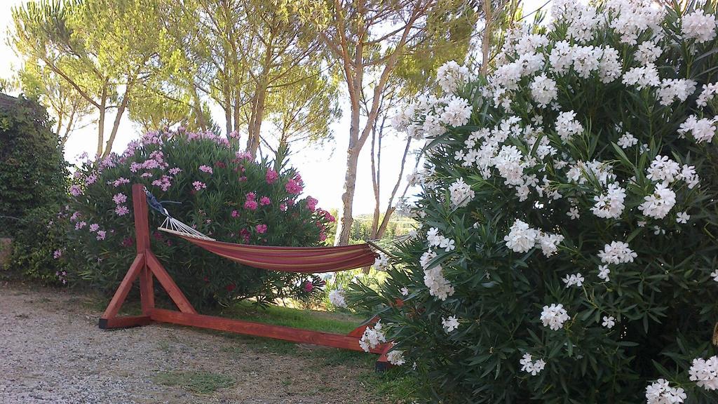 Agriturismo Podere Mulinaccio Ribolla Bagian luar foto